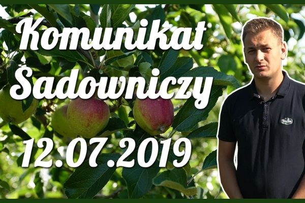 Komunikat sadowniczy nr 9 z dnia 12.07.2019 r.